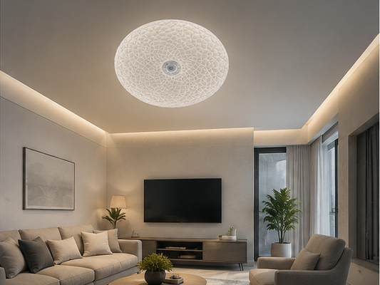 Modern LED Ceiling Light